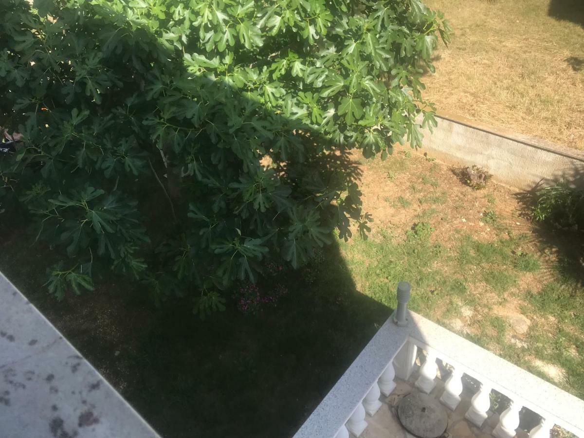 Apartman Petra 2 Vir Kültér fotó